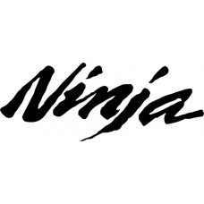 Kawasaki Ninja Kawasaki Ninja